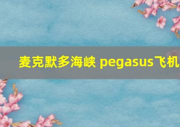 麦克默多海峡 pegasus飞机